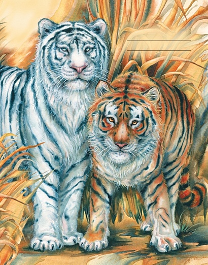 "Aquarell". Два тигра ДНЕВНИКИ (ИНТЕГРАЛЬНЫЙ ПЕРЕПЛЕТ) для средних и старших классов - фото 1