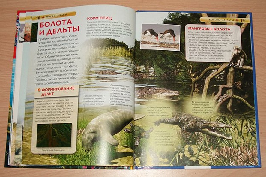 Моря и океаны - фото 11