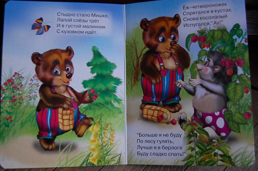 Мишка косолапый - фото 4