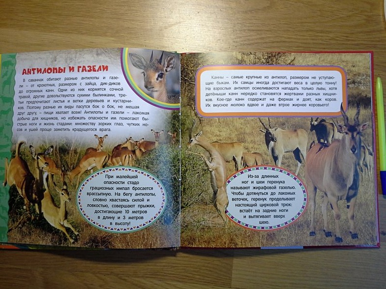 Животные Африки. Самая первая энциклопедия - фото 5