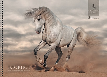 Белый конь АЛЬБОМЫ ДЛЯ РИСОВАНИЯ (гребень). 24 листа - фото 1