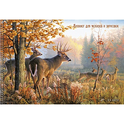 Альбомы для рисования «Осенний лес», 24 листа, 20 штук в упаковке - фото 1
