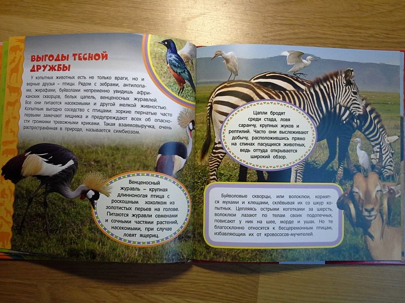 Животные Африки. Самая первая энциклопедия - фото 10