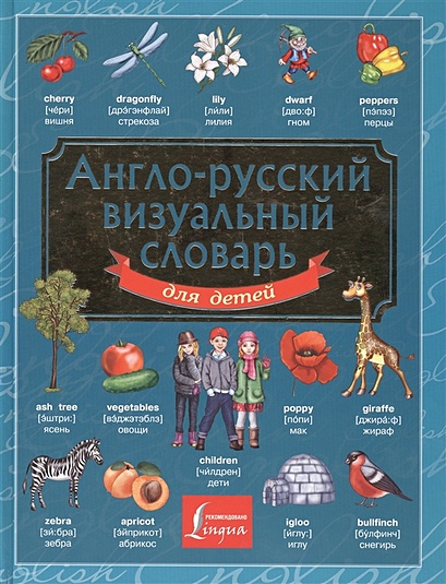 Англо-русский визуальный словарь для детей - фото 1