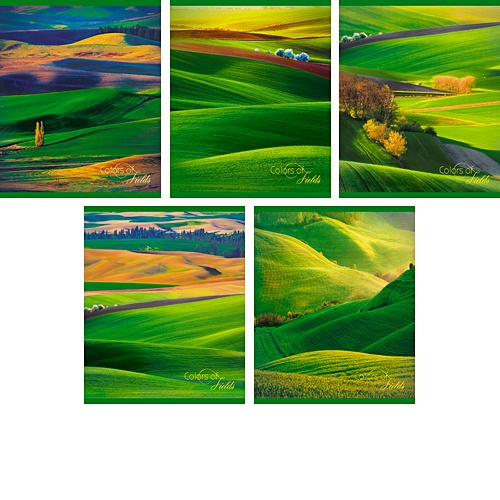 Зеленые холмы (пейзаж) 96л.,5 видов ТЕТРАДИ А5 (*скрепка) 96Л. Обложка: без отделки - фото 1