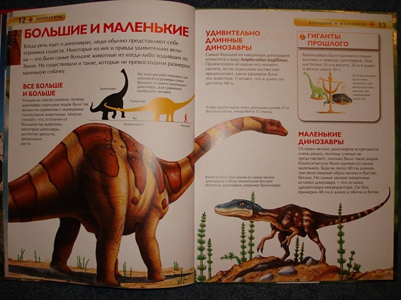 Динозавры - фото 7