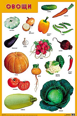 Развивающие плакаты. Овощи - фото 1