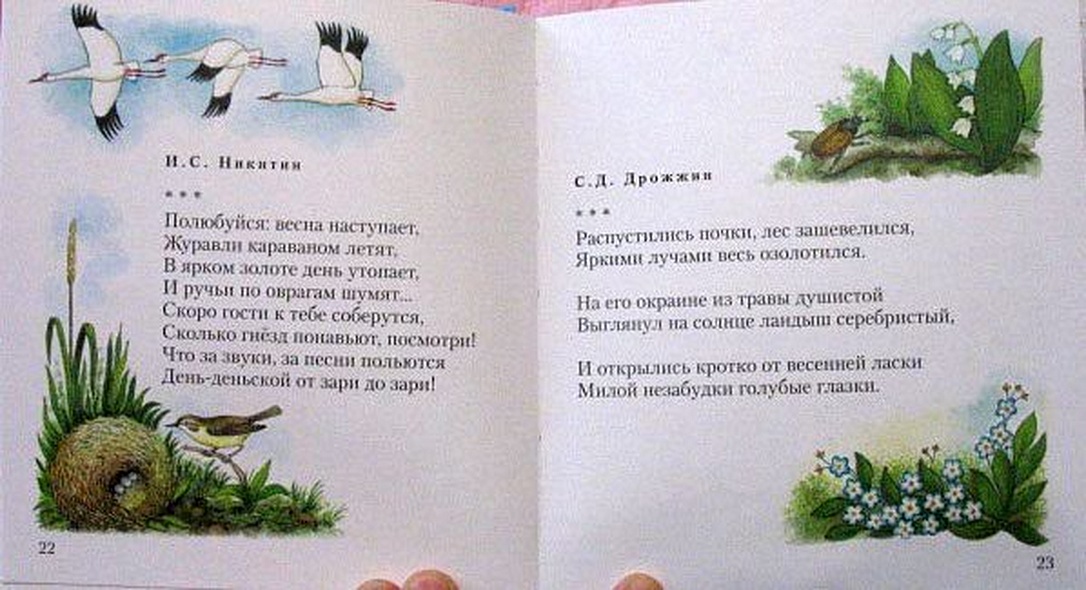 Дивная пора. Лучшие стихотворения русских поэтов о природе - фото 8