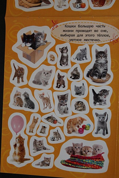 Стикерляндия. Котята - фото 6