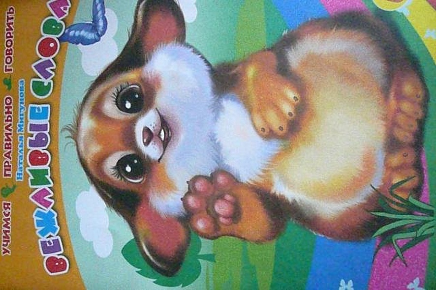 Вежливые слова. Учимся правильно говорить - фото 3