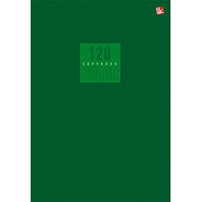 Тетрадь общая «Стиль и цвет. Зеленый», А5, 120 листов - фото 1