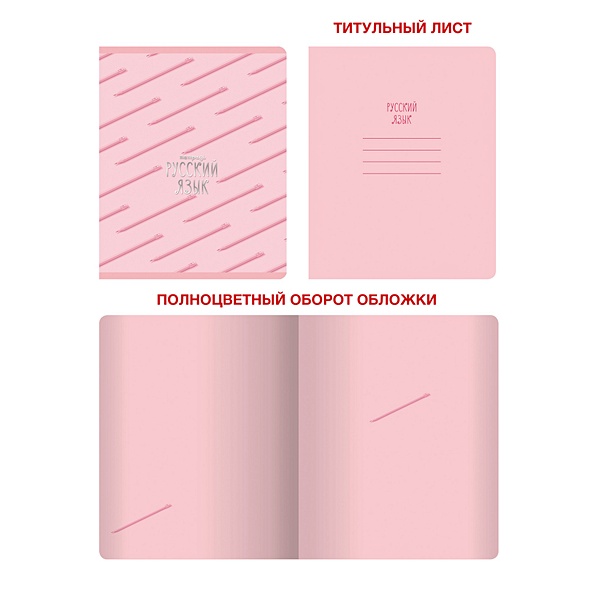 Тетрадь предметная по русскому языку «Розовые мечты», 48 листов - фото 1