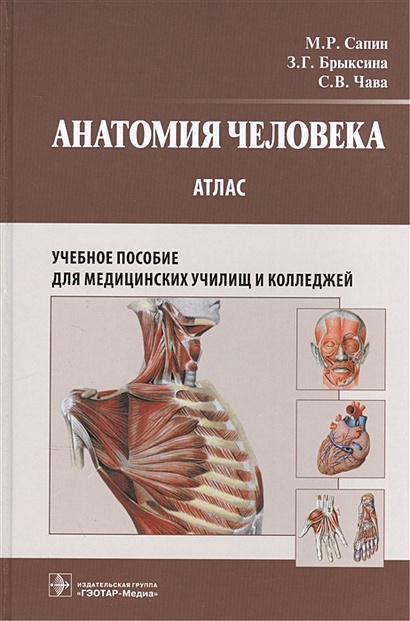 Анатомия человека. Атлас. Учебное пособие для медицинских училищ и колледжей - фото 1