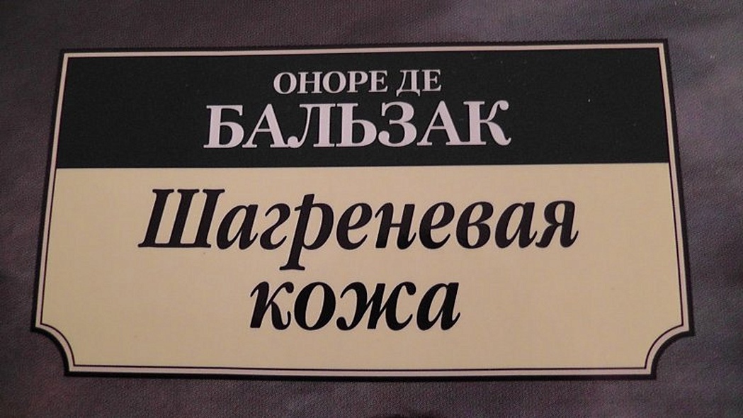 Шагреневая кожа оноре де бальзака краткое. Шагреневая кожа Антиквар. Шагреневая кожа Оноре де Бальзак интересные факты. Шагреневая рубашка.