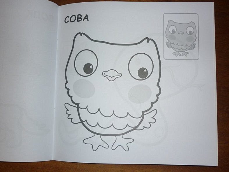 В лесу - фото 14