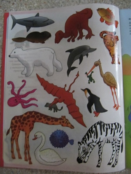 Где живет жираф - фото 9