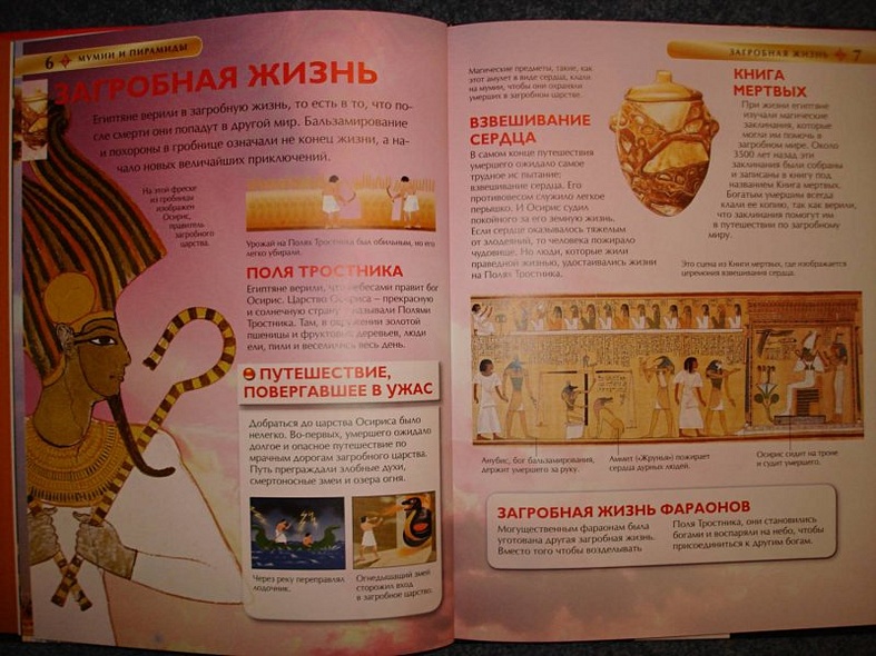 Мумии и пирамиды. - фото 4