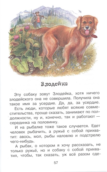 Книга Конь с розовой гривой • Астафьев В.П. – купить книгу по низкой ...