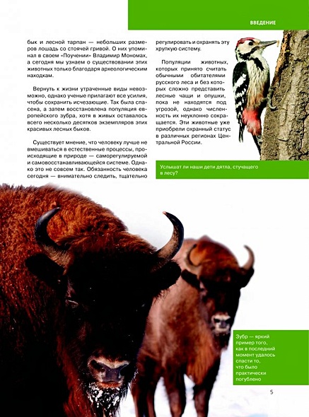 Серые страницы красной книги россии животные фото и описание