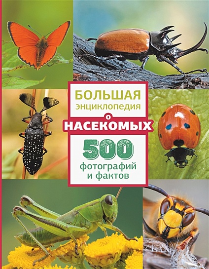 Большая энциклопедия о насекомых. 500 фотографий и фактов - фото 1