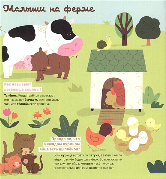 Книга с клапанами