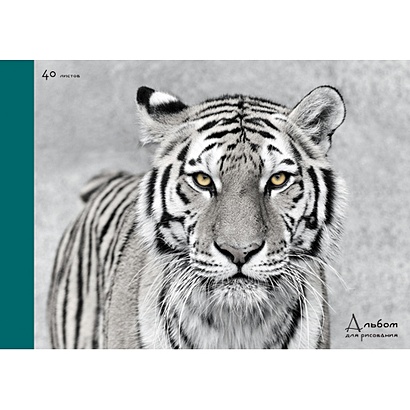 Величественный тигр (склейка, 40л.) АЛЬБОМЫ ДЛЯ РИСОВАНИЯ (*склейка). 40 листов - фото 1