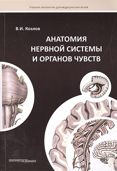 Анатомия нервной системы и органов чувств. Учебное пособие - фото 1