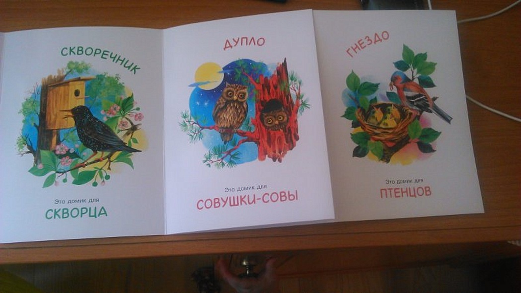 Книжки-гармошки. Это чей домик? - фото 3