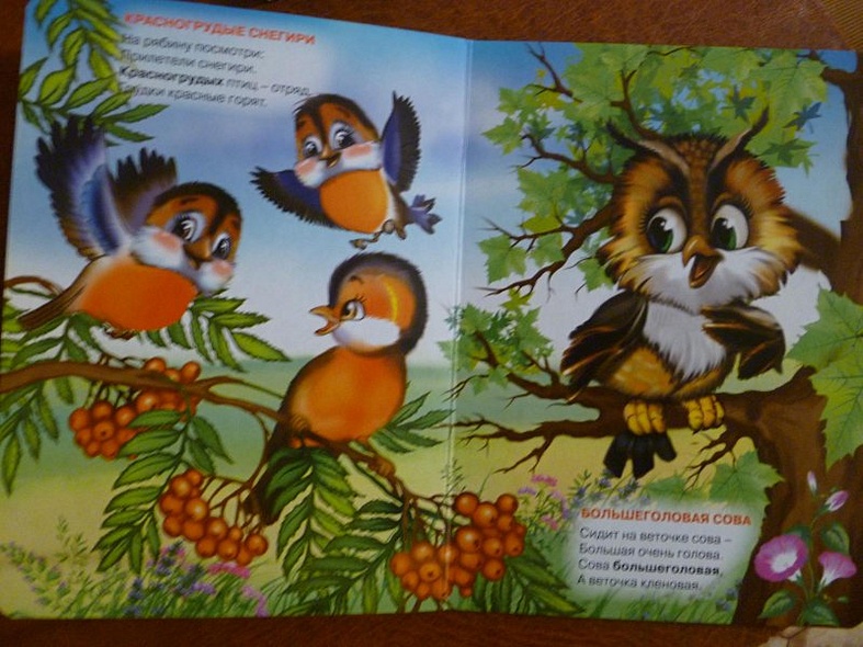 Учимся правильно говорить. учимся говорить (кот) - фото 4