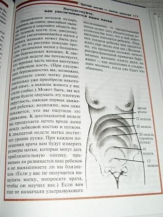 В ожидании малыша - фото 12