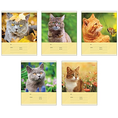 Коты на природе ТЕТРАДИ А5 (*скрепка) 12Л. Обложка: без отделки - фото 1
