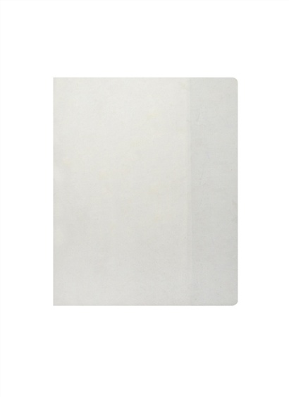 Обложка для дневников и тетрадей, прозрачная, 100 мкр, 212 х 350 мм - фото 1