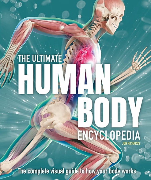 The Ultimate Human Body Encyclopedia: The complete visual guide - фото 1