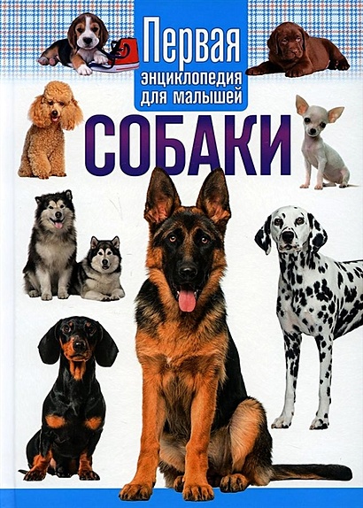 Собаки. Первая энциклопедия для малышей - фото 1