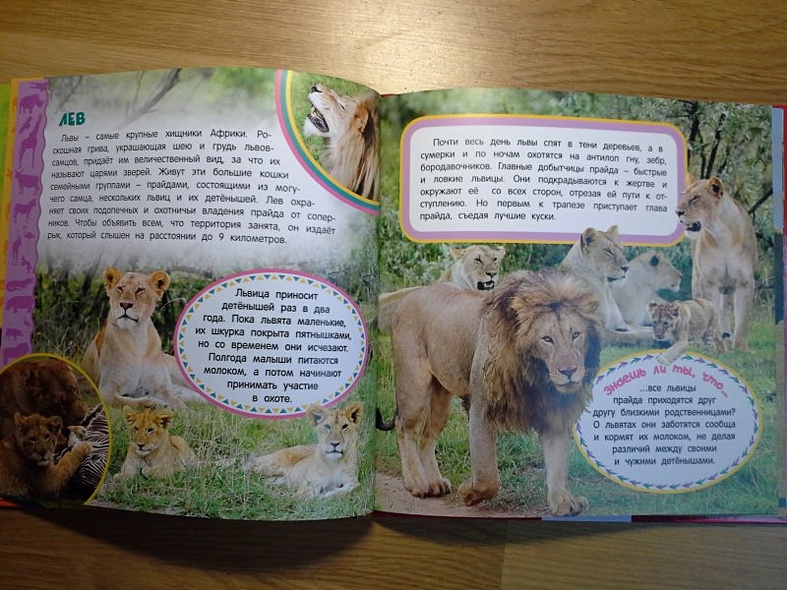 Животные Африки. Самая первая энциклопедия - фото 11