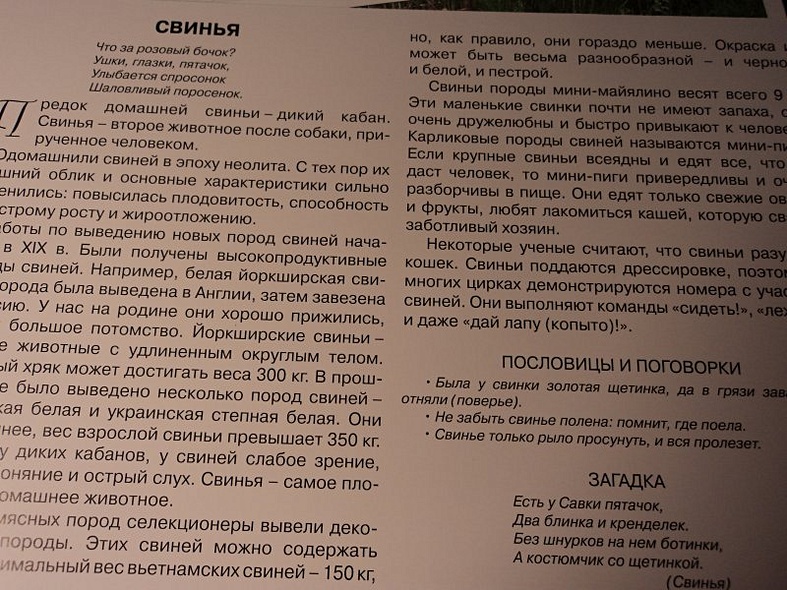 Расскажите детям о домашних животных. Карточки для занятий в детском саду и дома. - фото 6