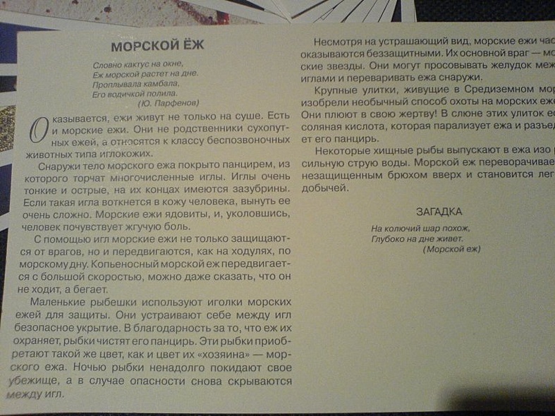 Расскажите детям о морских обитателях. Карточки для занятий в детском саду и дома. - фото 4