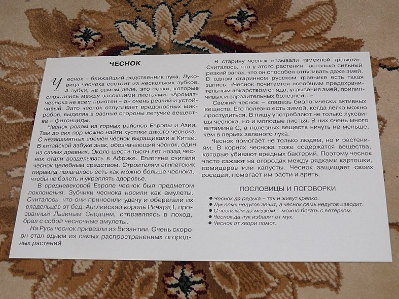 Расскажите детям об овощах. Карточки для занятий в детском саду и дома. - фото 7