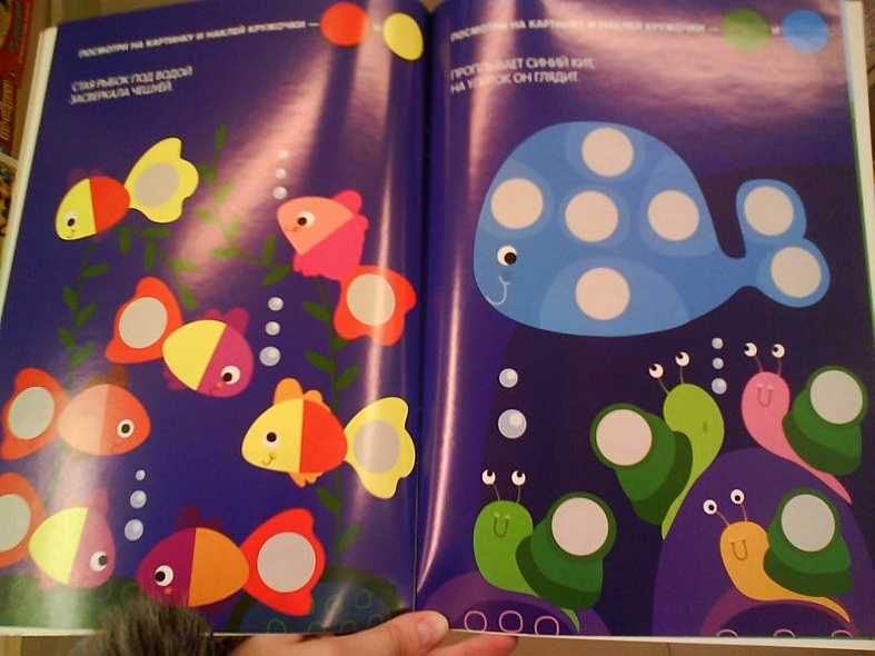 Кружочки. Наклей правильно! - фото 4