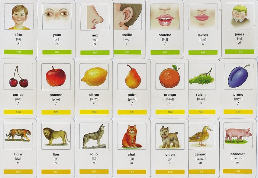 Мои первые французские слова. 333 карточки для запоминания - фото 2