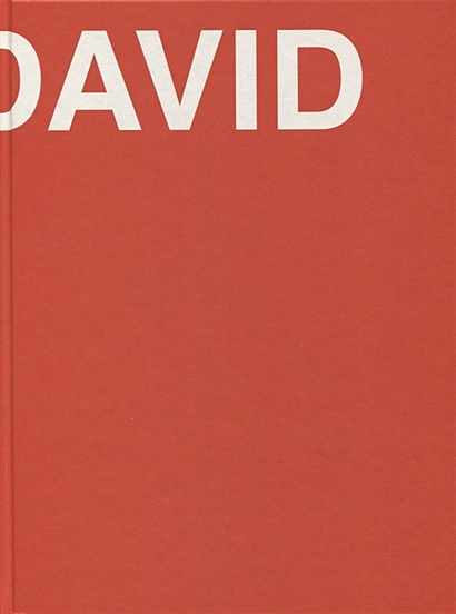David. The Life of David Ashotovich Sarkisyan - фото 1