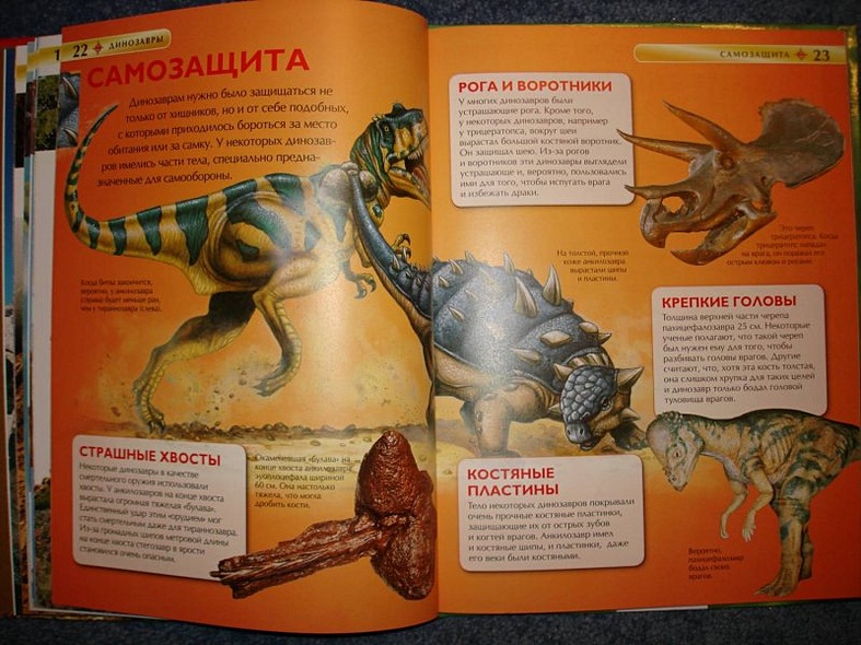 Динозавры - фото 12