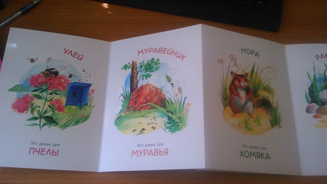 Книжки-гармошки. Это чей домик? - фото 4