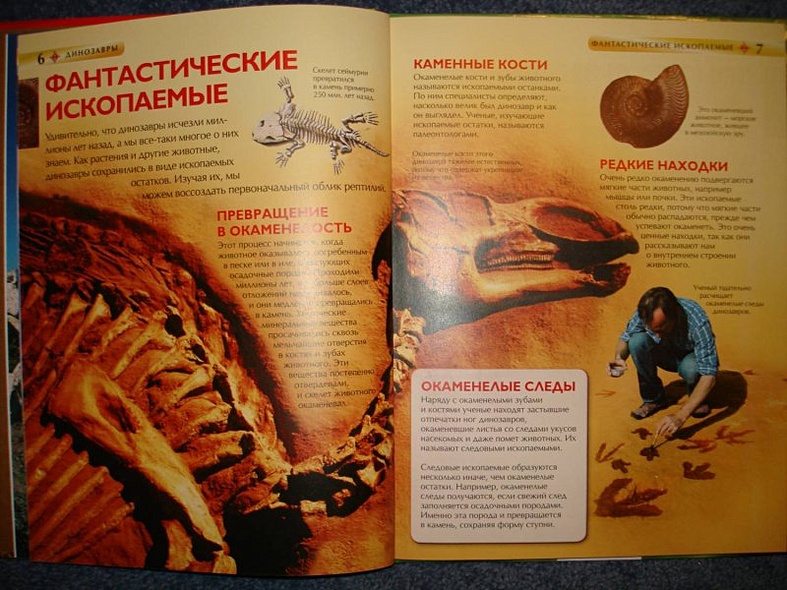 Динозавры - фото 4