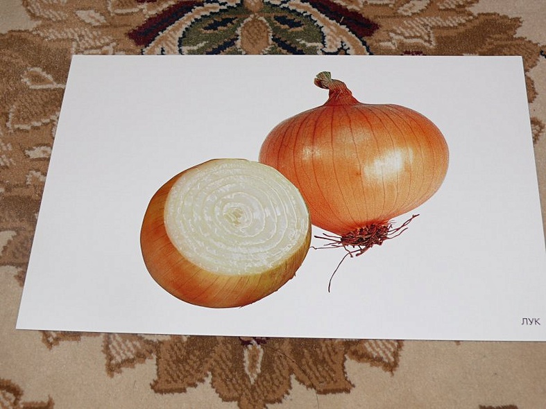 Расскажите детям об овощах. Карточки для занятий в детском саду и дома. - фото 10