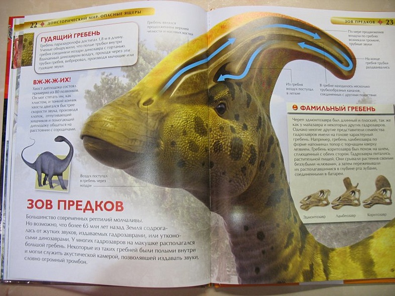 Доисторический мир. Опасные ящеры - фото 9