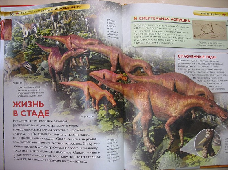 Доисторический мир. Опасные ящеры - фото 7