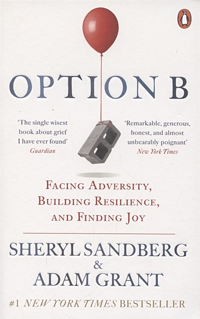 Option B. Facing Adversity, Building Resilience, and Finding Joy - фото 1