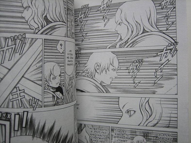 Клеймор. Книга 4. Смертный приговор - фото 14