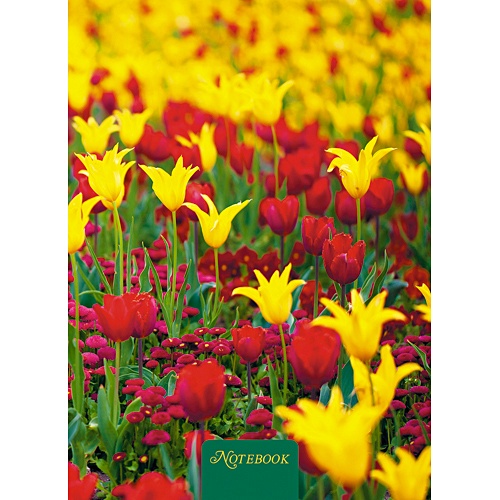 Цветы. Тюльпаны (А6, 80 л.) КНИГИ ДЛЯ ЗАПИСЕЙ А6 (7БЦ) - фото 1